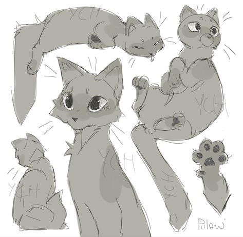 Gray Pillow Artist Warrior Cats, Gray Pillow Art, Gray Pillow Warrior Cats, Cat Art Base, Cat Oc Drawing, Cat Art Reference, Gray Cat Drawing, Cat Oc Anthro, Warrior Cats Drawing Base