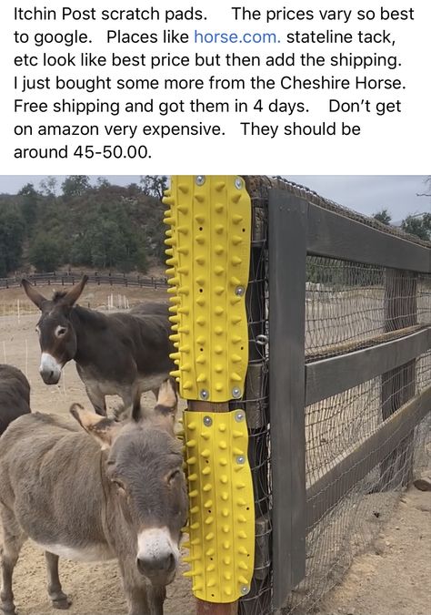 Donkey Farm Ideas, Donkey Shelter Ideas, Donkey Enclosure, Mini Donkey Shelter, Cow Shelter, Donkey House, Donkey Shelter, Equine Enrichment, Mini Horse Barn