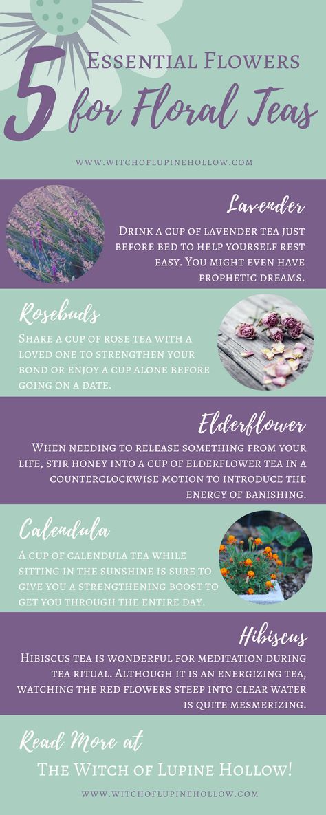 My 5 essential flowers for floral teas: lavender, rose, elderflower, calendula and hibiscus. Read more at The Witch of Lupine Hollow! Elderflower Tea Benefits, Hibiscus Spiritual Benefits, Benefits Of Lavender Tea, Flower Teas, Elderflower Tea, Lavender Drink, Tea Witch, Witch Tea, Calendula Tea