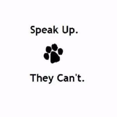 Animal Rescue Quotes, Rescue Quotes, Dogs Tattoo, Tattoo Animal, Truth Ideas, Stop Animal Cruelty, New Tattoo, Save Animals, Animal Quotes