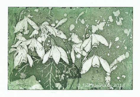 Snow Drop, St Cuthbert, Lino Cut, Printed Art, Eco Printing, Mirror Image, Somerset, Linocut, Etching