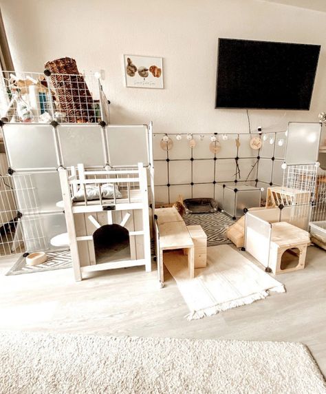 Cute Bunny Cages Indoor, Bunny Free Roam, Free Roam Rabbit Set Up, Bunny Room Indoor Rabbit, Bunny Room Ideas, Free Roam Bunny, Rabbit Setup, Indoor Bunny House, Bunny Setup