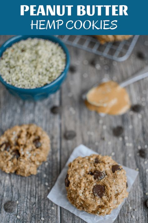 Peanut Butter Hemp Cookies 8 Hemp Cookies, Hemp Hearts Recipes, Seed Cookies, Protein Packed Snacks, Cookie Recipes Homemade, Gf Desserts, Protein Cookies, Sweet Cookies, Hemp Seed