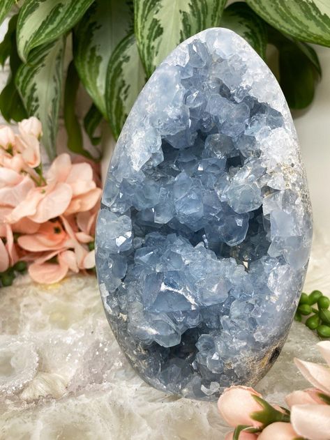 Geology Rocks Mineral, Blue Celestite, Celestite Crystal, Crystal Clusters, Geology Rocks, Crystal Box, Gems And Minerals, Raw Crystal, Crystal Cluster