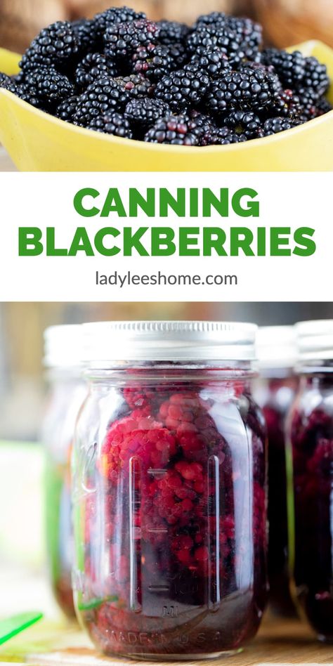 Canning Blackberries: Canning Fruit Recipes - The summer sun is here, and with it comes the beautiful, sweet taste of freshly picked blackberries. If you need ways to enjoy that taste all year round, canning blackberries is a great way to capture the flavor and preserve them for months. Canning whole blackberries is a great way to do both. With the right technique, you can learn how to can blackberries & preserve fruit with ease! Canning Blackberries Whole, Preserving Blackberries, Canned Blackberries, Canning Berries, Canning Blackberries, Canning Fruit Recipes, Preserve Fruit, Water Bath Canning Recipes, Easy Canning