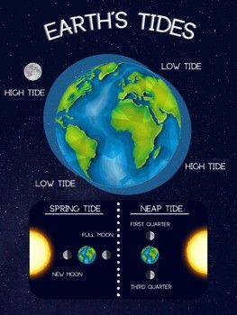 Spring Tide, High Tide, 7th Grade, Natural Phenomena, Earth Science, 6th Grade, Holiday Card, Holiday Cards, Science