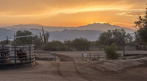 Almosta Ranch in Scottsdale, #Arizona - More Info: https://www.landhub.com/property/115078-Scottsdale-Arizona-85054-115340/ #ranchproperty Arizona Ranch, Hay Barn, Round Pen, Equestrian Facilities, Vacant Land, Farm Sink, Metal Fence, Ranch Style Home, Scottsdale Arizona