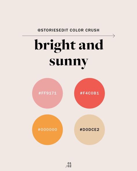 Sunny Color Palette, Color Palette Hex Codes, Brand Boards, Color Design Inspiration, Fall Months, Hex Codes, Content Planning, Color Crush, Colour Board