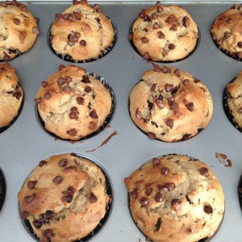 Muffins With Protein Powder, Chocolate Chip Protein Muffins, Protein Powder Muffins, Homemade Chocolate Chip Muffins, Homemade Protein Powder, Chocolate Protein Muffins, High Protein Muffins, Healthiest Protein Powder, Choc Chip Muffins