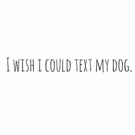 I wish!...would text them to clean the house!.. Dogs Quotes, Dog Humor, 3 Wishes, Dog Quotes Funny, Crazy Dog Lady, Dog Rules, Memes Humor, Animal Quotes, Dog Quotes