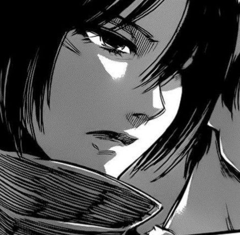 Mikasa Ackerman Icon, Mikasa Anime, Titan Fanart, Eren Aot, Aot Anime, Eren X Mikasa, Titans Anime, Eren And Mikasa, Titan Anime