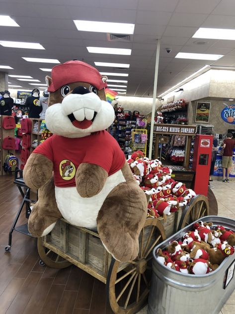 Summer is almost here and with that means vacation! Whether you´re road trippin' southbound 45 to sandy beaches, or going the stay-cation route, a Buc-ee´s trip is a MUST!  #Bucees #staycation #newbucees Friendsgiving Aesthetic, Aesthetic Thanksgiving, Camp America, Fireplace Tv Wall Decor, Elf On The Shelf Arrival, Buc Ee's, Thanksgiving Aesthetic, Paper Napkin Folding, Napkin Folds