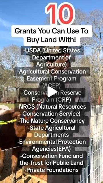 970 likes, 108 comments - farmermillz on November 29, 2023: "Follow, Comment, and DM “Farm” and I’ll send you a free business plan template to apply for grants! Things to know: When exploring grant opportunities, consider the specific goals of your land acquisition project, whether it’s related to sustainable agriculture, conservation, or community development. Additionally, contact local agricultural extension offices, community development agencies, and conservation groups to inquire about Grants To Buy Land, Land Development Ideas, Agriculture Business Plan, Community Farm, Buying Land, Write The Vision, Sales Ideas, Business Strategy Management, Agriculture Business