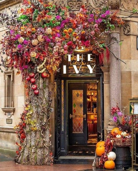 Storefront Floral Installation, Storefront Design Boutique, Flower Shop Window Displays, Storefront Decor, Fall Store Displays, Party Ideas Halloween, Autumn Window Display, Flower Shop Decor, Flower Shop Design