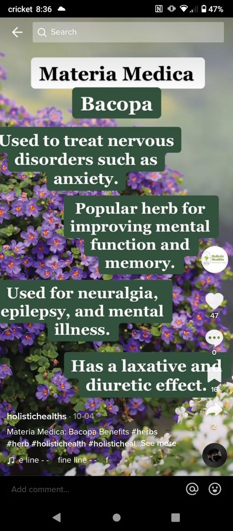 Herbs For Seizures, Bacopa Benefits, Old Remedies, Vitamin D Supplements, Plant Medicine, Sound Mind, Ayurvedic Herbs, Treat People, Medicinal Plants