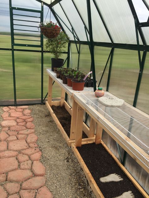 Greenhouse Shelves, Mini Serre, Diy Greenhouse Plans, Greenhouse Shed, Greenhouse Interiors, Home Greenhouse, Shelving Ideas, Greenhouse Growing, Backyard Greenhouse