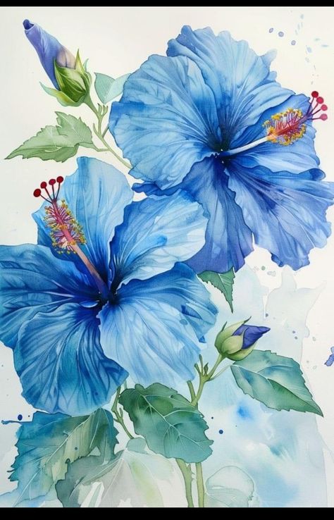 Hibiscus Flower Watercolor, Blue Hibiscus Flower, Flower Poem, Hibiscus Pattern, Art Coquillage, Blue Drawings, Blue Flower Painting, Bee Painting, Blue Hibiscus