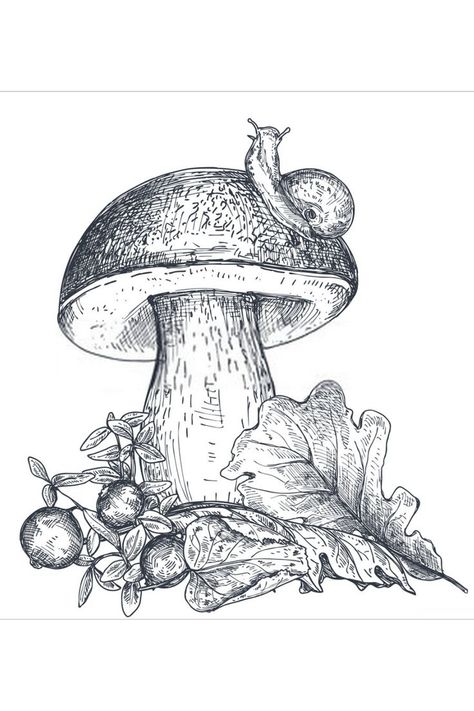 Easy pencil Mushroom Drawing Anime Sketch Easy, Forest Mushrooms, Fall Drawings, Easy Drawing Steps, Mushroom Tattoos, Mushroom Drawing, Autumn Illustration, Sketch Style, Beautiful Autumn