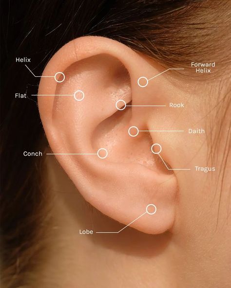 Ear Piercings Guide Charts, Dairy Piercing, Ear Piercings And What They Help With, Ear Percinings Chart, Eat Piercings Chart Names, Piercings Labeled, Ear Piercings Labeled, Ear Piercings Chart Names, Earring Placement Chart