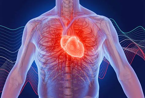 Why Am I Having Heart Palpitations? 14 Possible Causes Heart Palpitations Causes, Overactive Thyroid, Heart Palpitations, Atrial Fibrillation, Heart Rhythms, Low Blood Pressure, Heart Health, Lifestyle Changes, Heart Rate