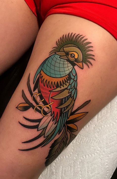 Quetzal Bird Tattoo, Quetzal Art, Stay Humble Tattoo, Humble Tattoo, Quetzal Tattoo, Quetzal Bird, Alas Tattoo, Worlds Best Tattoos, Aztec Tattoo