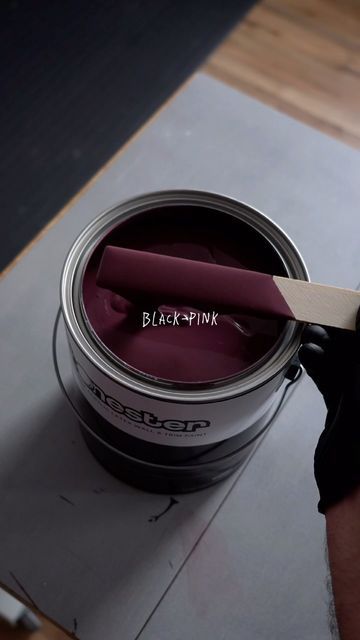 tonester on Instagram: "Have you seen a black-pink paint color before?" Color Pallete For House Interior, Dark Room Paint Colors, Gothic Paint Colors, Dark Moody Color Palette, Tonester Paints, Dark Purple Paint Colors, Moody Paint Colors, Black Painted Walls, Bold Paint Colors