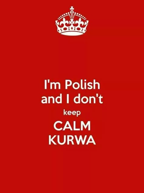 I'm Polish Polish Quotes, Polish People, Polish Traditions, Polish Memes, Polish Language, Everything And Nothing, Polish Recipes, Keep Calm, Words Quotes