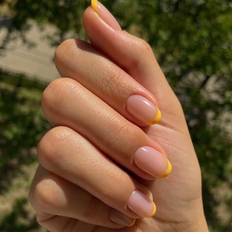 Yellow Nail Tips French Manicures, Short French Nails Yellow, Colour French Tip Short Nails, French Manicure With Yellow Tips, Micro French Manicure Yellow, Extended French Tip Nails, Color French Short Nails, Yellow French Nails Tips, French Yellow Tip Nails