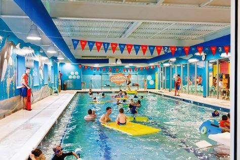 Goldfish Swim School, which has 11 schools in the Chicago area, is opening a new location this week in Arlington Heights. Swim School, School Opening, School Plan, Baby Swimming, Sports Day, Secondary School, Front Desk, Indoor Pool, Kid Spaces