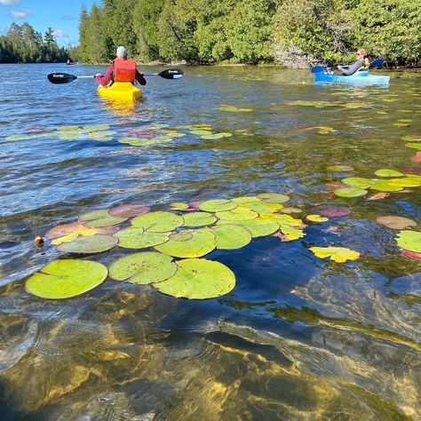 Canoe Portage, Lilly Pad, Ap Art, Lily Pads, Kayaking, Photo Shoot, Golf Courses, Lily, Lake