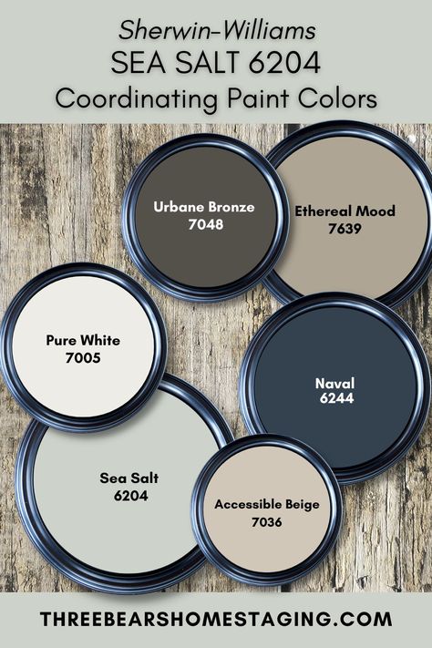 Dark Navy Blue Color Palette, Sw Seasalt Color Scheme, Trending Accent Wall Colors, Colors That Go Well With Navy Blue, Sw Riverway Coordinating Colors, Sea Salt Living Room, Paint Schemes Interior Whole House, Gossamer Veil Coordinating Colors, Affordable Home Renovations