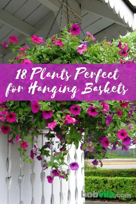 Hanging baskets are a beautiful addition to your landscape, especially if you have a small yard and don't have the space to plant flowers. Check out the best plants for hanging outdoors. | 18 Plants Perfect for Hanging Baskets Hanging Flowering Plants, Bourbon Meatballs, Flower Recipes, Peter Piper, Hanging Plants Outdoor, Pickled Peppers, Hari Om, Rustic Luxury, Gardening Inspiration