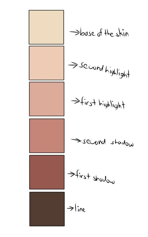 Skin Pallete Color Palettes, Digital Skin Palette, Black Hair Color Palette Digital Art, Shade Skin Ibis Paint, Procreate Skin Palette, Skin Tone Palette Digital Art, Skin Pallete Digital Art, Anime Skin Color Palette, Skin Palette Digital Art