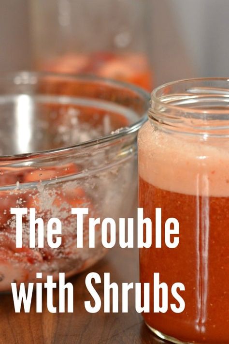 Trouble with Shrubs: A Reader Question • A Bar Above Shrubs For Drinks, Shrub Recipes How To Make, Shrubs Drink Recipes, Fruit Shrub Recipes, Strawberry Shrub Recipe, Shrub Cocktail Recipes, Shrub Drink Recipes, Shrubs Drink, Drinking Shrubs