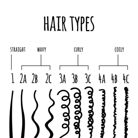 How To Know Your Hair Type, Milady Cosmetology, Curl Type Chart, Different Curl Types, Hair Theory, Airy Hair, Hair Type Chart, Hairstyle Hacks, Curl Types