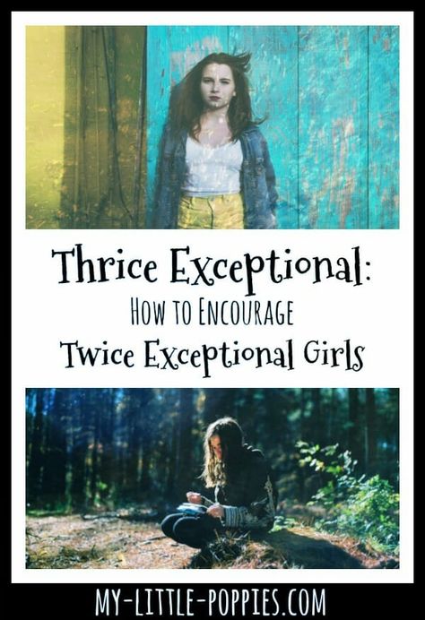 Thrice Exceptional: How to Encourage Twice Exceptional Girls {Guest Post from Sophie Miller of ThinkFun} | My Little Poppies Homeschool Gifts, Twice Exceptional, Impostor Syndrome, Gifted Children, Production Coordinator, Child Psychologist, Learning Difficulties, Parenting Help, Social Emotional Skills