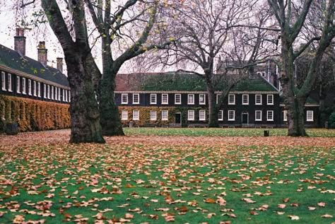 Ivy League aesthetic, deep greens, rich saturation School Campus Design, New England Gothic, Ivy League Aesthetic, High School Campus, Ivy League Colleges, College Core, Boarding School Aesthetic, University Aesthetic, The Ivy League