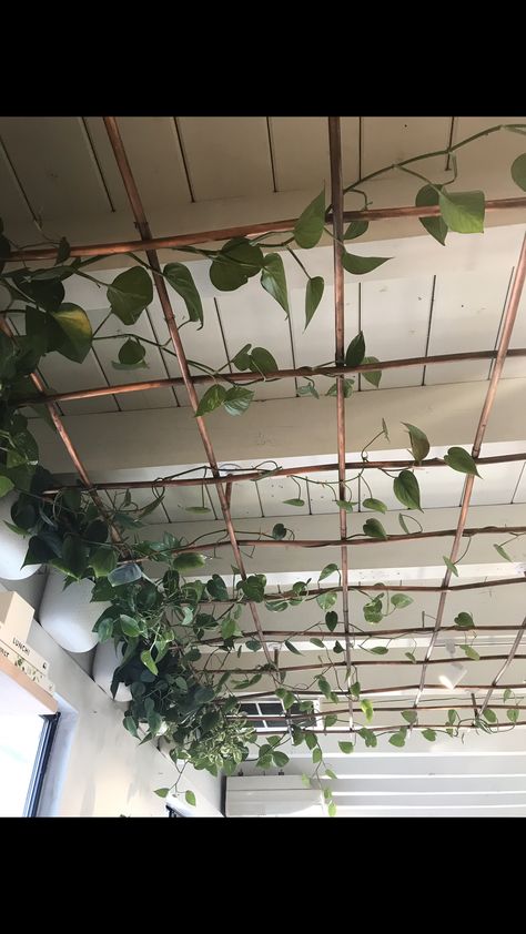 Loft Aesthetic, Climbing Plants Trellis, Tea Lounge, Ceiling Painting, Fake Plants Decor, Stair Handrail, Trellis Plants, Spa Decor, Artificial Leaf