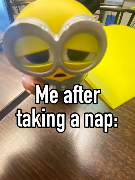 #eepy #naps #whisper #pinterest #real I’m Awake Funny, Nap Reaction Pic, Im Awake, Whisper Pinterest, Reaction Pic, Take A Nap, Staying Alive, Funny, Pins