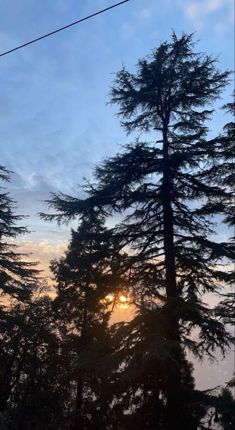 5:30 PM at Landour,Mussoorie,the colours the vibe ahhhh Mussoorie Snap, Mussoorie Aesthetic, Mussoorie Photography, Landour Mussoorie, Ig Background, Baby Boy Announcement Cards, Sunset Quotes Instagram, Travel Pose, Jammu Kashmir