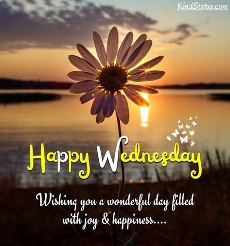 Hello May Quotes, Wednesday Morning Greetings, Happy Wednesday Images, Wednesday Greetings, Wednesday Wishes, Good Morning Wednesday, Happy Wednesday Quotes, Wednesday Quotes, Wonderful Wednesday