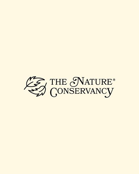 THE NATURE CONSERVANCY Going to start posting some of my nonprofit redesigns as static posts, starting with @nature_org Logo design, photography style, and merch concepts, swipe for the original logo 🤭 - #branding #redesign #logodesign #merchdesign #graphicdesign #ecodesign #designbywomen #designbyallyssa Nonprofit Logo Design, Non Profit Logo, Nonprofit Branding, Nonprofit Logo, Sustainable Branding, Logo Exploration, Logo Design Photography, Campaign Logo, Natural Branding