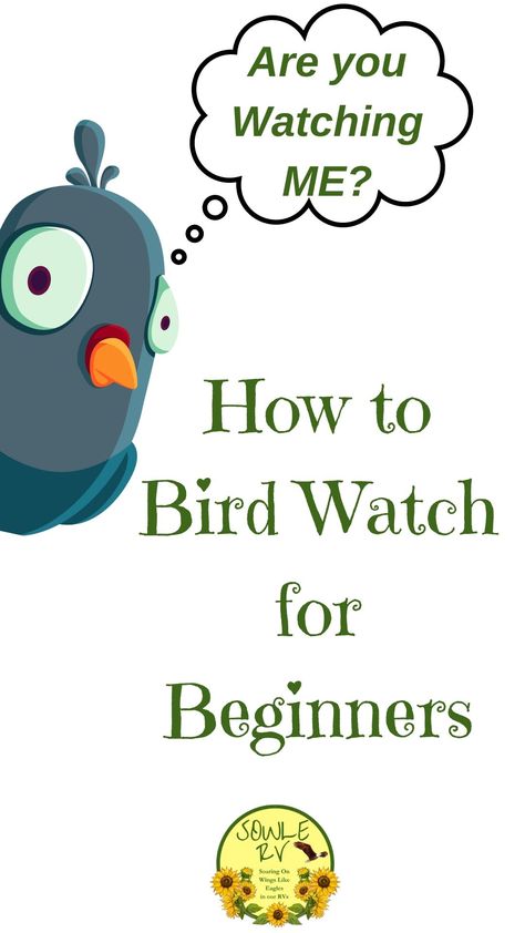 Welcome to the world of bird watching for beginners! Whether you're exploring your backyard or a nearby park, observing birds can be a rewarding and peaceful experience. Start by getting a good pair of binoculars and a field guide to help you identify different species. Remember to stay patient and quiet to not scare away the birds. Happy bird watching! 🐦🔍 #BirdWatching #Beginners #NatureLovers #Birding101 Bird Watching For Beginners, Bird Watching Journal, Merlin Bird, Backyard Birds Watching, Pine Siskin, Birding Journal, What Is A Bird, Wings Like Eagles, Wild Bird Feeders