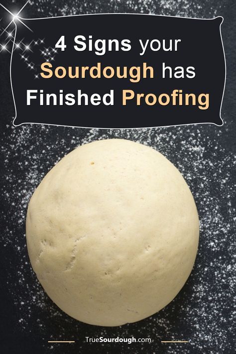 Sourdough Troubleshooting, Sourdough Proofing, Best Sourdough Starter Recipe, Sourdough Tips, Homemade Sourdough Bread Recipes, Sourdough Starters, Sourdough Breads, Easy Sourdough Bread Recipe, Recipe Using Sourdough Starter