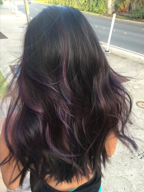 Dark Hair W Purple Highlights, Purple Underside Hair, Brown Hair With Purple Highlights Subtle, Brunette With Fun Color Highlights, Purple Blended Hair, Black Hair Plum Highlights, Purple Brown Hair Highlights, Purple Hair Ideas Highlights, Brown Hair With Hair Dye