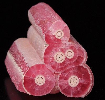 rhodochrosite Snake Heart, Red Right Hand, Black Pinterest, Minerals Crystals Rocks, Raw Meat, Geology Rocks, Rock Minerals, Pretty Rocks, Cool Rocks