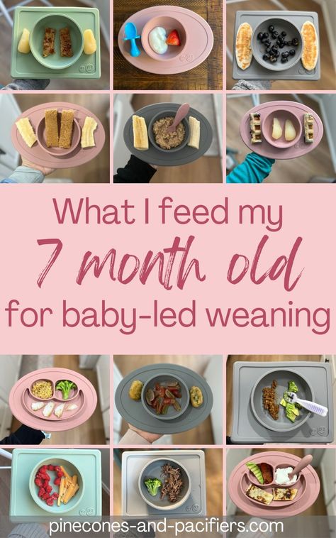 7 Month Old Food, Baby Led Weaning 7 Months, 7 Month Old Baby Food, 8 Month Old Baby Food, Baby Weaning Foods, 7 Months Baby Food, Baby Meal Plan, Baby Led Weaning First Foods, Baby Lunch