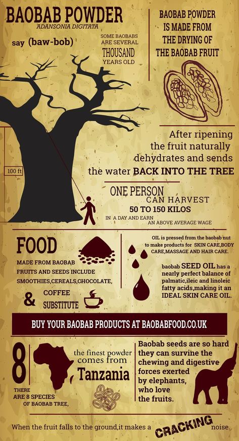 Boabab Tree Benefits, Benefits Of Baobab Powder, Baobab Tree Fruit, Baobab Benefits, Superfood Benefits, African Trees, Baobab Fruit, Superfoods Benefits, Baobab Powder