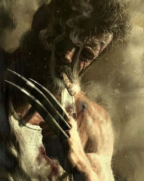 Wolverine Wallpaper, Hd Iphone Wallpaper, Old Man Logan, Wolverine Comic, Wolverine Art, Arte Peculiar, Marvel Xmen, Logan Wolverine, Marvel Artwork