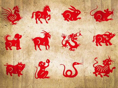 What the Year of the Dragon Means for You, According to Your Chinese Zodiac Sign Chinese Year Of The Dragon, Dragon Meaning, Pig Chinese Zodiac, Chinese Zodiac Horse, Bagua Map, Horse Sign, Year Of The Snake, Lunar Calendar, Chinese Astrology